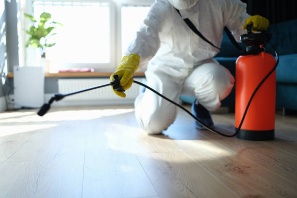 Reliable Odor Removal contractor in Yerington, NV by Trauma Clean Pros